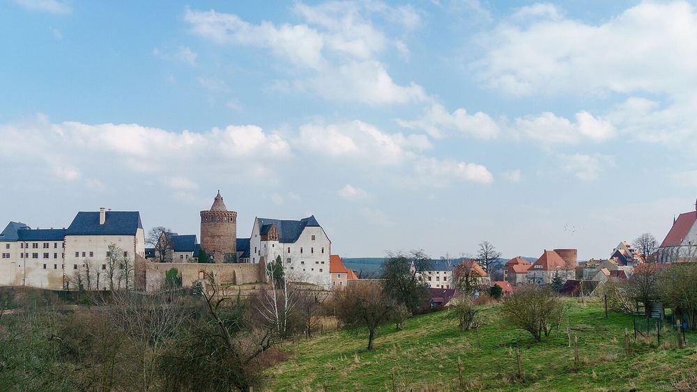 Blick über Wiesen auf Leisnig mit der Burg Mildenstein und dem Turm der Stadtkirche St. Matthäi